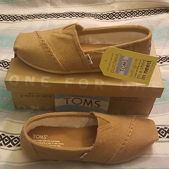 wool toms